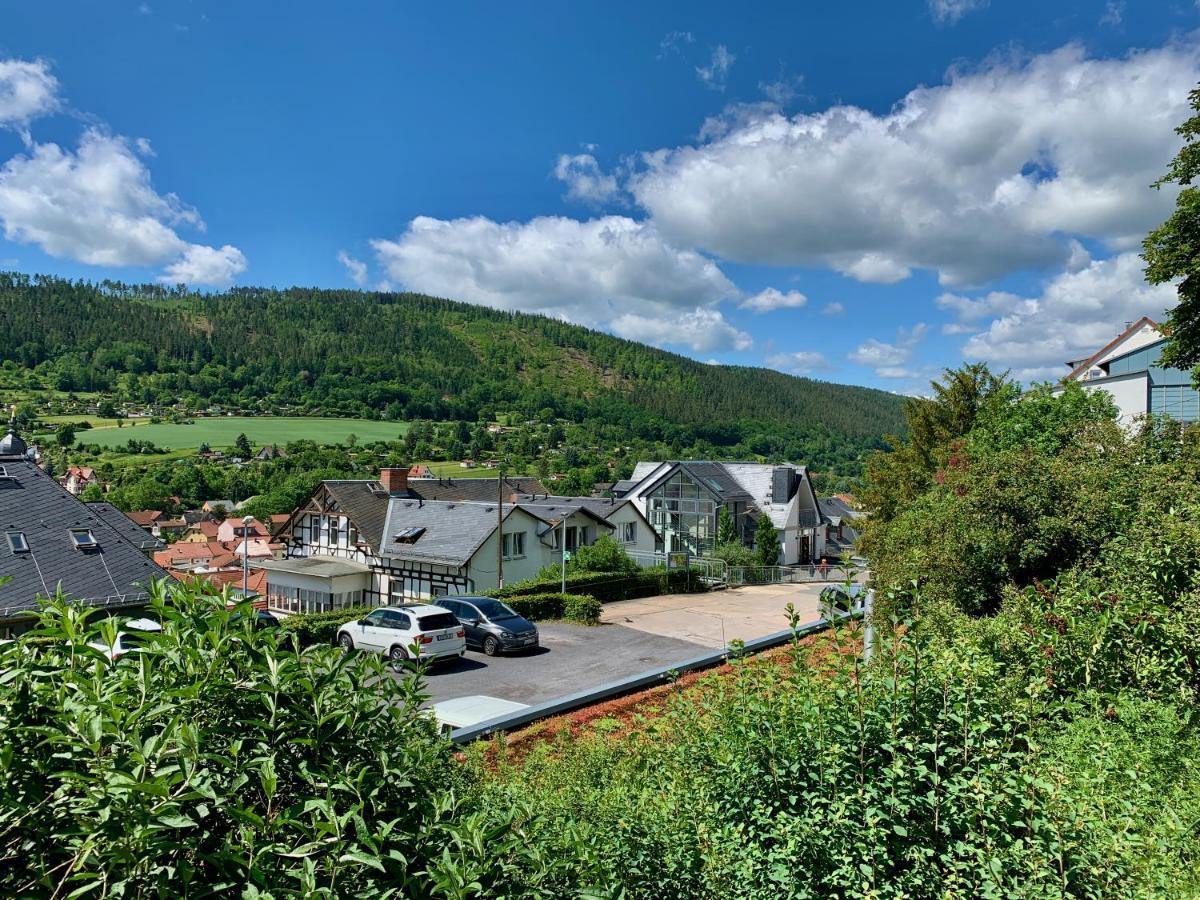 Villa Frieden Bad Blankenburg Exterior foto