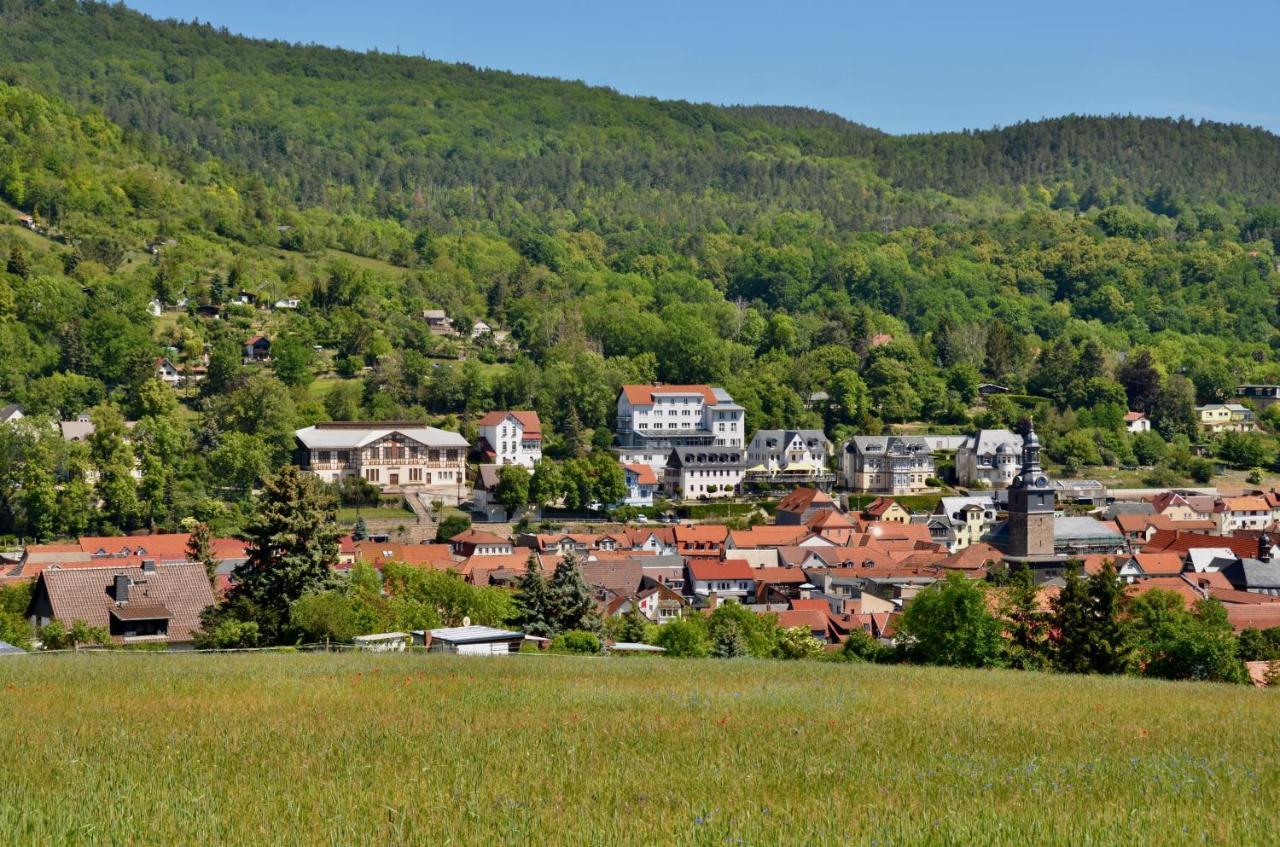 Villa Frieden Bad Blankenburg Exterior foto